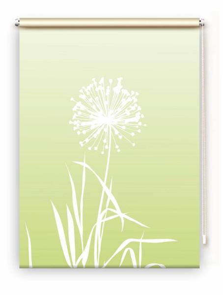 Allium Rollo Apfelgrün